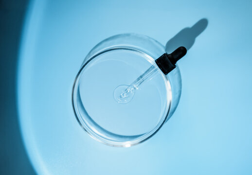 Laboratory glass petri with pipette and drop of water, serum, oil, beauty product. Natural medicine, cosmetic research, bio science. Concept of skincare and analysis. Dermatology. Flat lay, top view