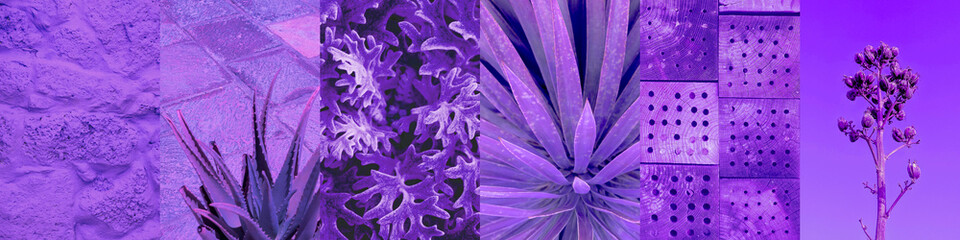 Set of trendy aesthetic photo collages. Minimalistic images of one top color. Very Peri moodboard