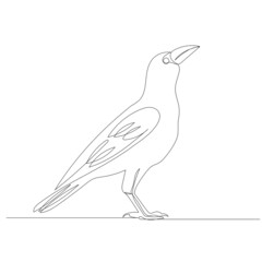 bird drawing by one continuous line, sketch