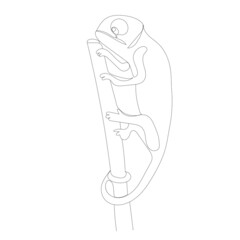 chameleon drawing by one continuous line, sketch vector