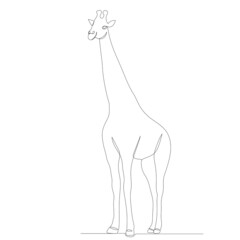 giraffe continuous line drawing, sketch vector