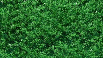 Nature green leaves background 3d rendering