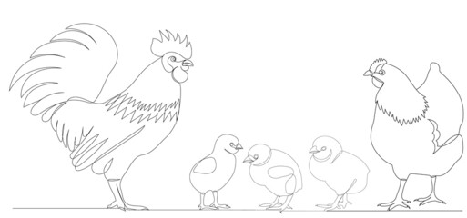 Fototapeta na wymiar rooster, hen and chicks drawing by one continuous line, sketch vector