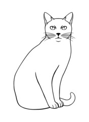Simple sitting cat illustration