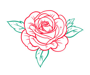 Beautiful rose flower - 501525112