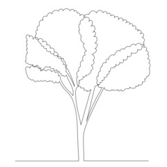 tree drawing by one continuous line, vector