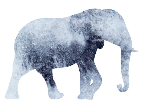 elephant gray watercolor silhouette, on white background, isolated, vector