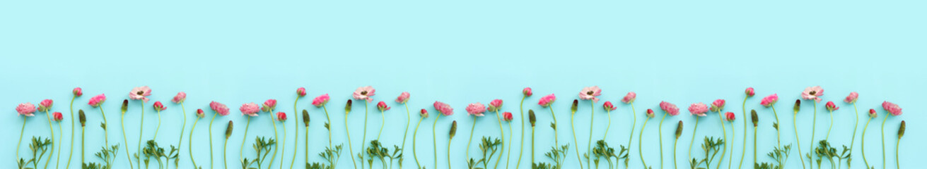 Top view image of pink flowers composition over blue pastel background