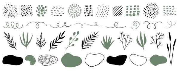 Deurstickers Hand drawn plants, organic shapes, dots, lines. Vector set of minimal trendy abstract natural elements for graphic design © Artulina