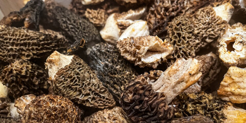 morel mushroom luxury food fresh ripe fruit counter in the market shop healthy meal food diet snack veggie vegan or vegetarian food copy space food background 