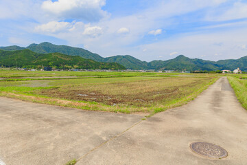 丹波篠山の田舎の風情「田んぼ」