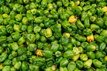 A lot of small green hot peppers at the vegetable market. Green-yellow bell pepper laid out as a solid background. Spices, vegan food