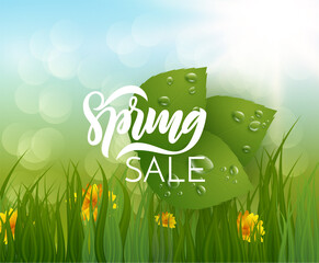 Spring vector background with spring lettering blue sky and grass. EPS10