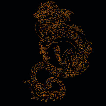 Vector dragon in black and gold colors, vector image, emblem, mascot, tattoo