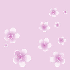 Purple Violet flowers isolated on violet background. Apple-tree flowers. Cherry blossom. Vector