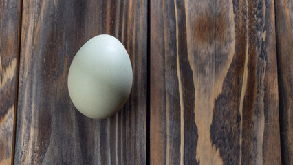 Araucana egg on wooden background. Light blue egg from Araucana chicken. Easter Festival concepts. Easter egg.