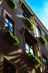 Sustainable building concept vertical photo. Plants in the flowerpots