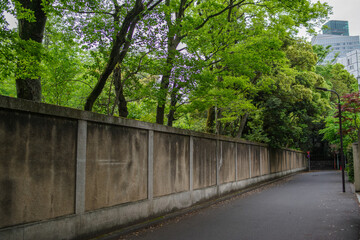 塀と新緑が美し路地