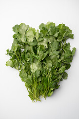 Fototapeta na wymiar Bunch of fresh cilantro close-up on a white background