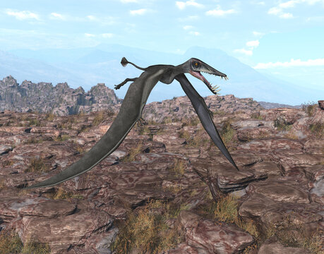 Flugsaurier Dorygnathus über einer felsigen Landschaft