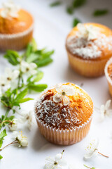 Sweet muffins with powdered sugar and blossoms. Homemade bakery. Muffins in white capsules decorated with fruit tree flowers.