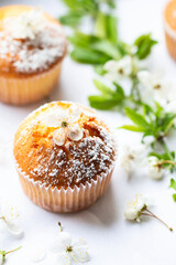 Sweet muffins with powdered sugar and blossoms. Homemade bakery. Muffins in white capsules decorated with fruit tree flowers.