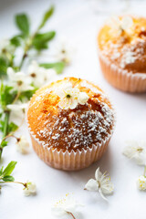 Sweet muffins with powdered sugar and blossoms. Homemade bakery. Muffins in white capsules decorated with fruit tree flowers.