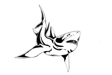鮫の塗り絵　colorless　shark