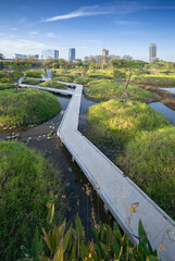 Forest in big city, Benchakitti Forest Park (Benjakitti Park) with big trees and skywalk. The park is great for bike and jogging