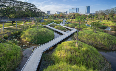 Forest in big city, Benchakitti Forest Park (Benjakitti Park) with big trees and skywalk. The park is great for bike and jogging