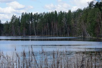 Obraz premium beautiful nature park with a lake and a cloudy cloudy day in the spring