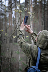 A female forester in a camouflage suit in the forest thicket. A forester takes notes and photos of a budding willow on his smartphone.