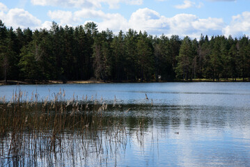 Fototapeta na wymiar beautiful nature park with a lake and a cloudy cloudy day in the spring