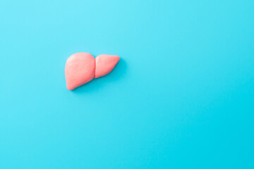 liver icon, liver on a blue background