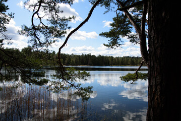 beautiful nature park with a lake and a cloudy cloudy day in the spring