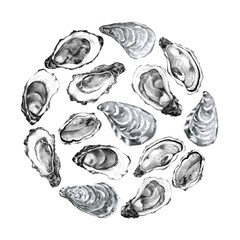 Backdrop of hand drawn oysters