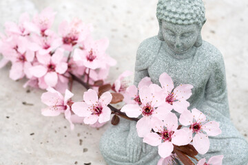 Buddha statuette with blooming sakura branch on concrete background with copy space. Meditation and...