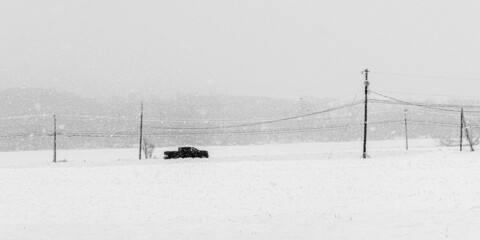 A late Spring Snow blankets Windsor, in Upstate NY, with up to 12 inches of wet snow in late April....