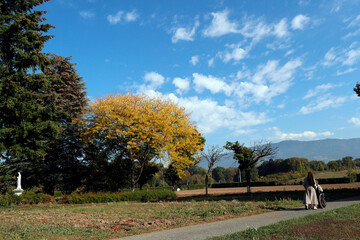 Catholic church. Religion  and faith.