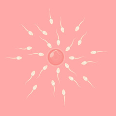 Fertilization of an egg. Sperm cells and a female egg, vector illustration