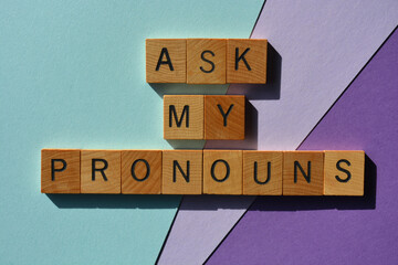 Ask My Pronouns, phrase as banner headline