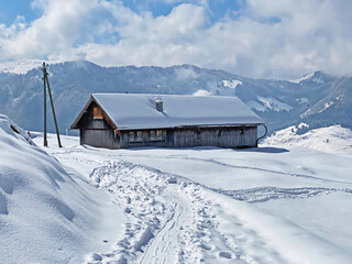 Indigenous alpine huts and wooden cattle stables on Swiss pastures covered with fresh white snow cover, Nesslau - Obertoggenburg, Switzerland (Schweiz)