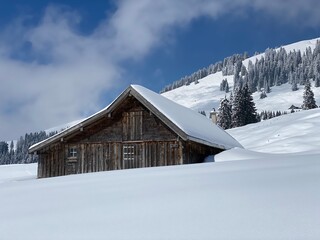 Indigenous alpine huts and wooden cattle stables on Swiss pastures covered with fresh white snow cover, Nesslau - Obertoggenburg, Switzerland (Schweiz)