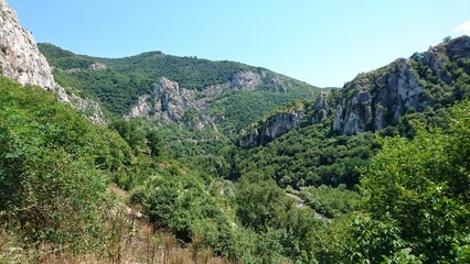 Fototapeta premium landscape in the mountains