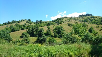 Obraz premium landscape with trees and mountains