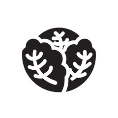 Cabbage , Vegetables solid icon.
