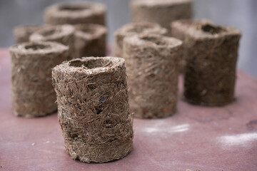 Elephant poo in their salty land in nature. Use animal's poo to mold as plant pot in fertilizing tree. Eco thinking.