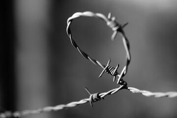 Barbed Wire with clusters of short, sharp spikes set along it, used to make fences or in warfare,...