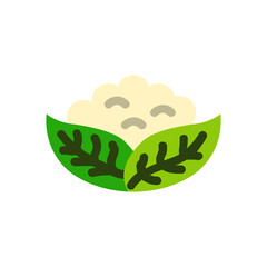 Cauliflower , Vegetables flat icon.