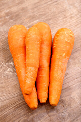 Fresh carrot laid on basket